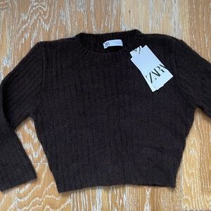 NWT Zara Women's Ribbed Crop Knit Sweater in Chocolate Brown